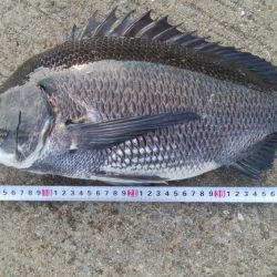 『釣りデビュー❤』175日目✨