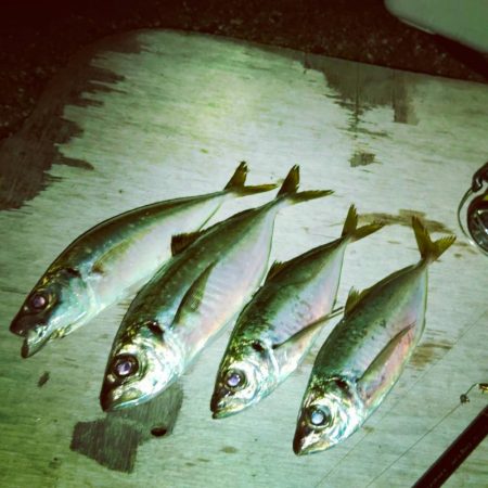 フロートゲーム～