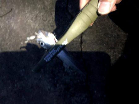 豆サバをまじめにルアーで狙ってみる