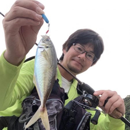 A.P.Pフィッシングガイドサービス　ベイトタックルでアジングにRIDEON！