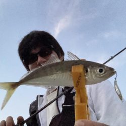 A.P.Pフィッシングガイドサービス マイクロショアジギで魚をチェック!