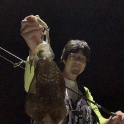 A.P.Pフィッシングガイドサービス　ポイント選定に迷いつつのナイトエギング釣行