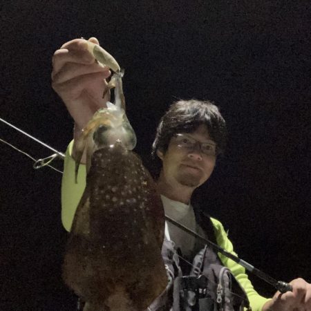 A.P.Pフィッシングガイドサービス　ポイント選定に迷いつつのナイトエギング釣行