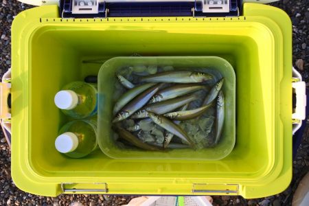 渋いながらもボツボツ