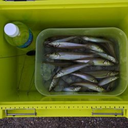 梅雨の晴れ間を狙って