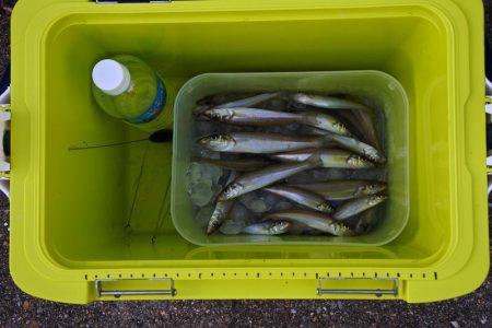 梅雨の晴れ間を狙って