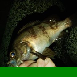 フロートゲーム