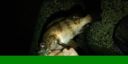 フロートゲーム