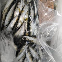 ファミリーフィッシング