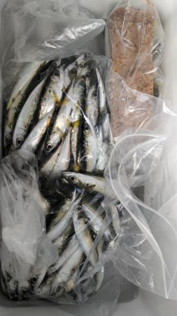 ファミリーフィッシング