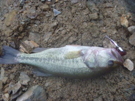 降りそで降らない