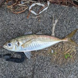 根岸付近の緑地公園にて！