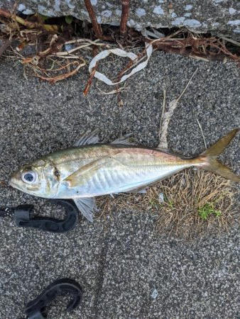 根岸付近の緑地公園にて！