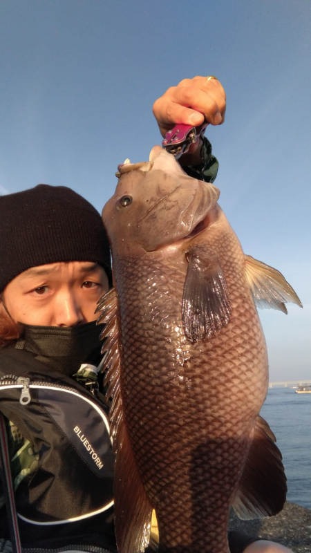 堤防のモンスター狩り