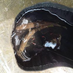 野洲川での友釣り