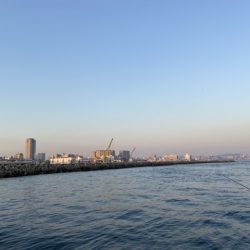 ガシラ、ベラ釣り好