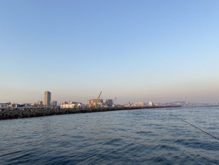 ガシラ、ベラ釣り好