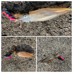 久しぶりの遠征