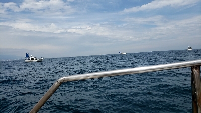 明石でタイラバ