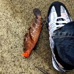 雨上がりを狙って