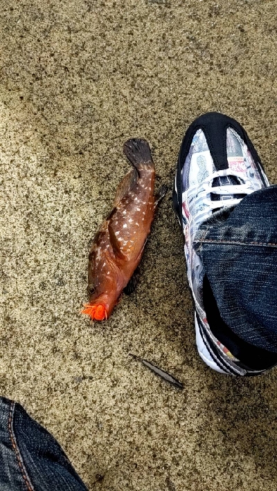 雨上がりを狙って