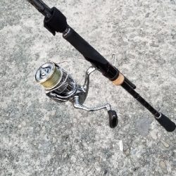 短時間エギング 湯浅好調