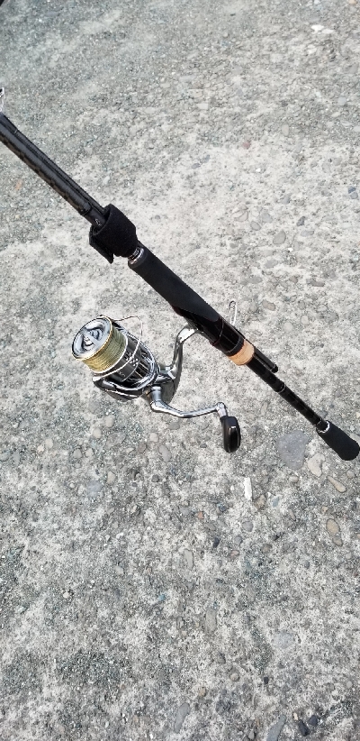 短時間エギング 湯浅好調