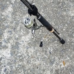 デイエギング　20分で終了