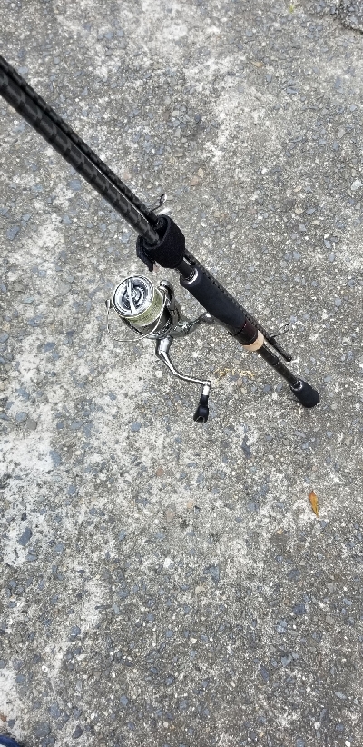 デイエギング　20分で終了