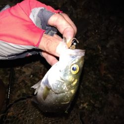 2021釣行投稿NO.5