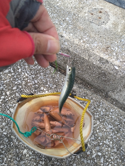 2021釣行投稿NO.6