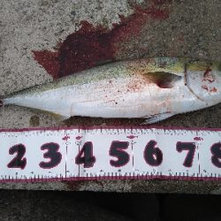 2021釣行投稿NO.7