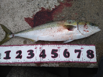 2021釣行投稿NO.7