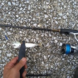 2021釣行投稿№8