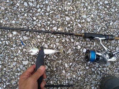 2021釣行投稿№8