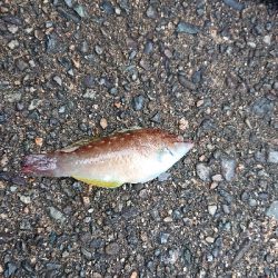 梅雨の中・・・