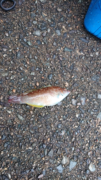 梅雨の中・・・