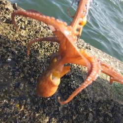 昼からでも行けます