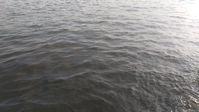 昼からは厳しい