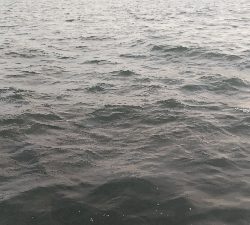 渋いけどとりあえず…