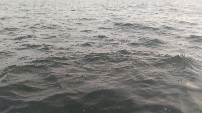 渋いけどとりあえず…