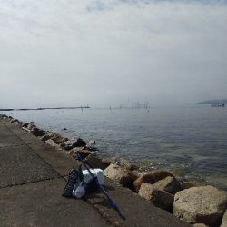 苅屋海岸のキス釣り