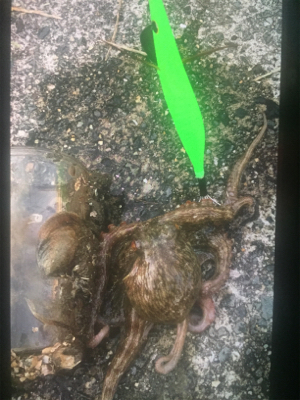 何か釣れないかなぁ〜❗&#x…