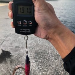 仕事帰りのエギング！