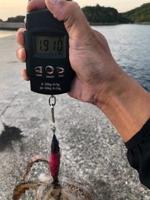 仕事帰りのエギング！