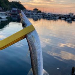 危険と隣合わせのアジング。