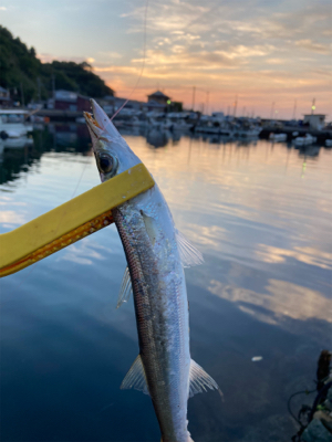危険と隣合わせのアジング。