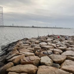 夕方からぶっ込み釣り