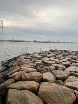 夕方からぶっ込み釣り