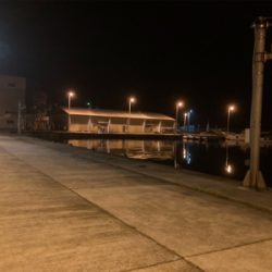 常夜灯目掛けてメバリング